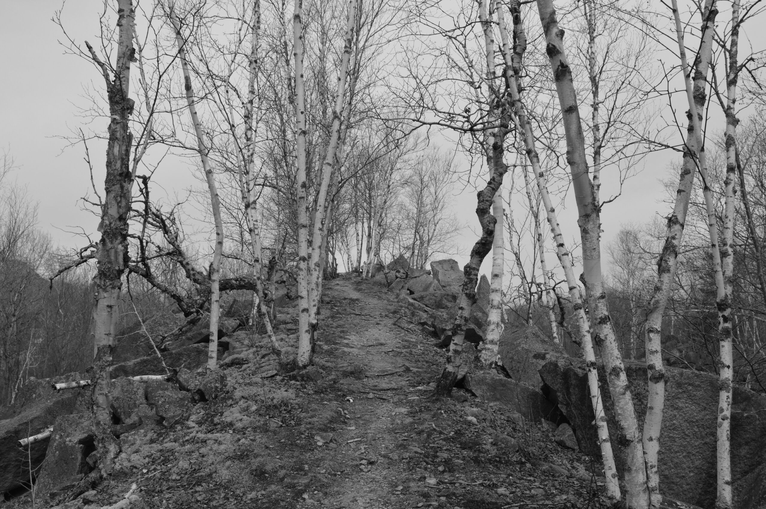 path_to_nowhere